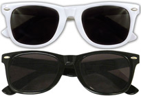 Wayfarer Ray Ban